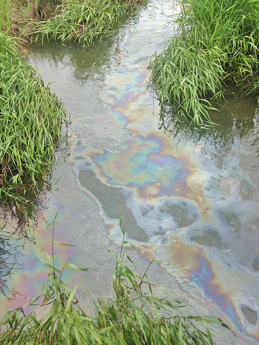 You are currently viewing Oil spill contaminates stream in Langley