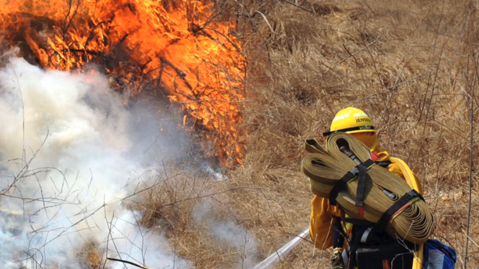 You are currently viewing Brush fire prompts closure of Irvine Regional Park