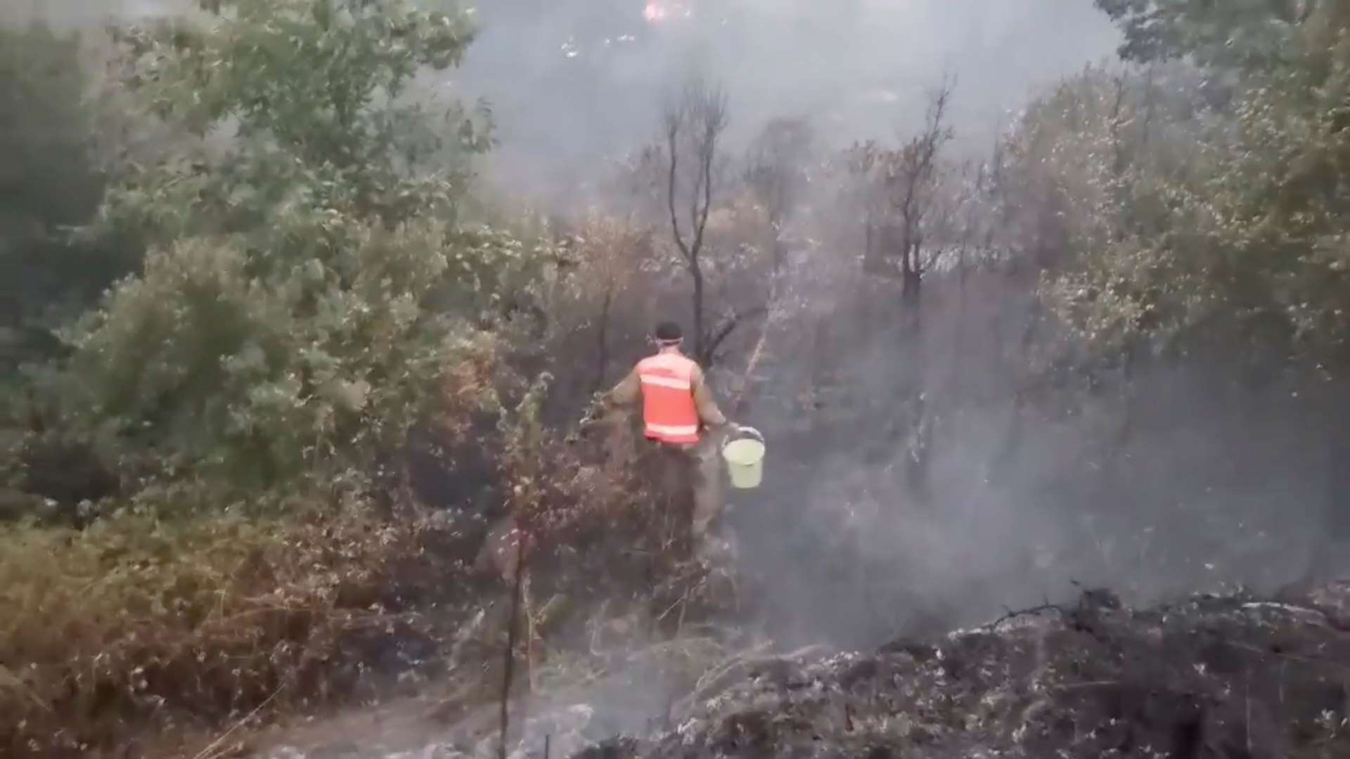 You are currently viewing Hundreds battle blaze in central Portugal