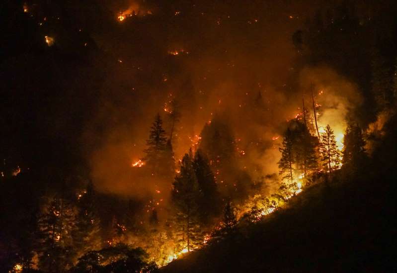 You are currently viewing Grizzly Fire grows to 20,000 acres