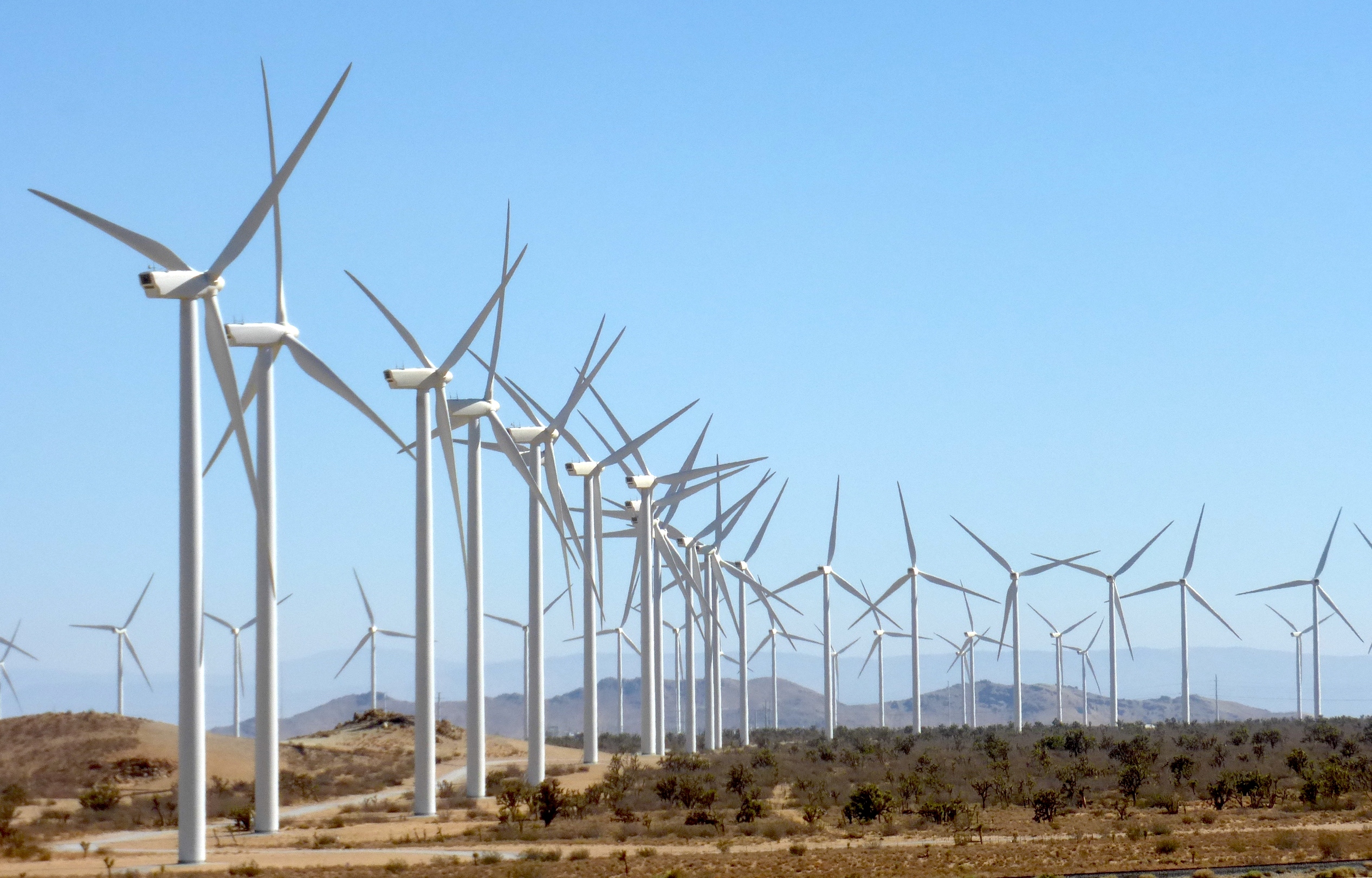You are currently viewing Utility companies cashing out on final year of wind energy subsidies