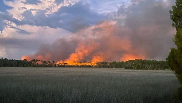You are currently viewing Florida fire crews working to contain 185 brush fire in Hernando County