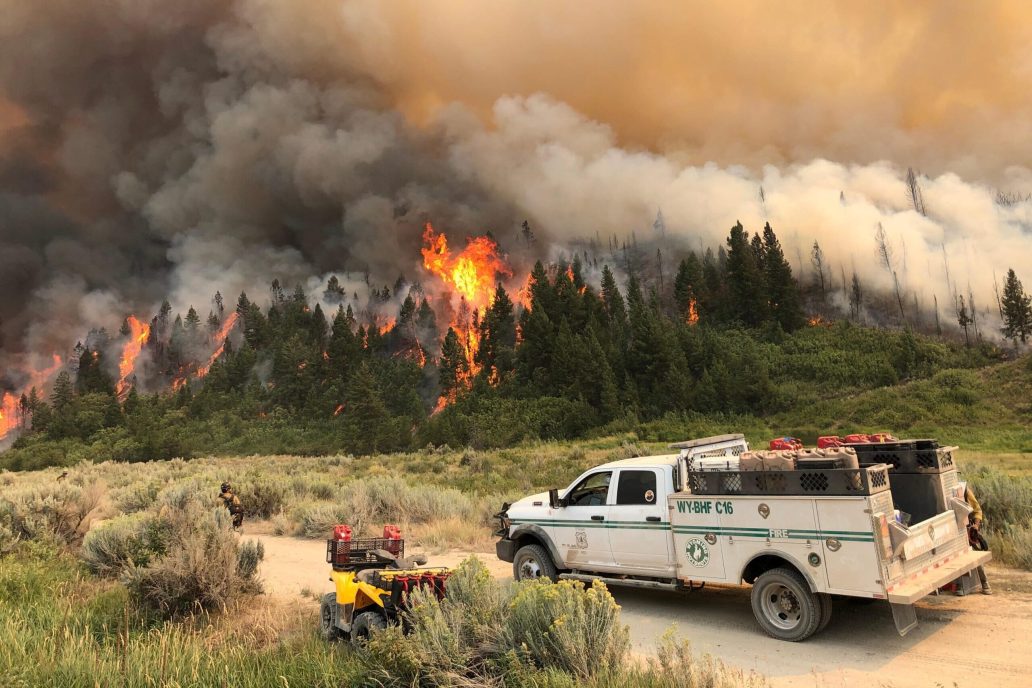 You are currently viewing Pine Gulf fire becomes largest wildfire in Colorado history