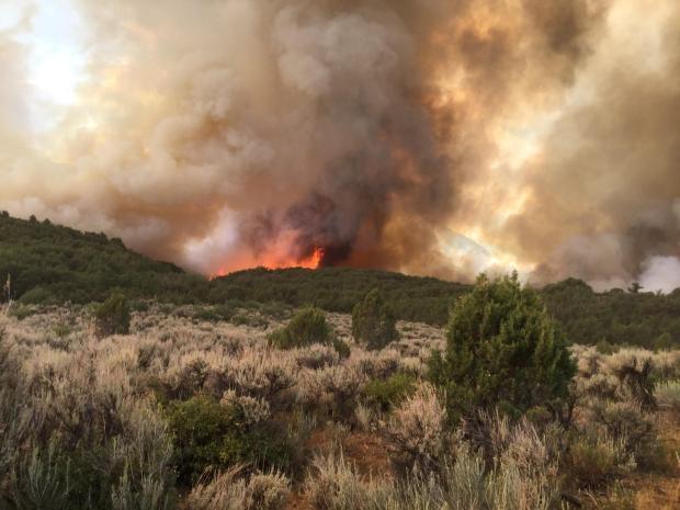You are currently viewing Wildfire near Grand Junction grows to over 1,000 acres