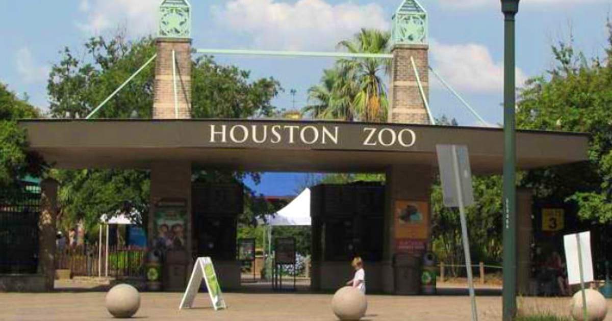 You are currently viewing Houston zoo closed for three days due to unknown power outage
