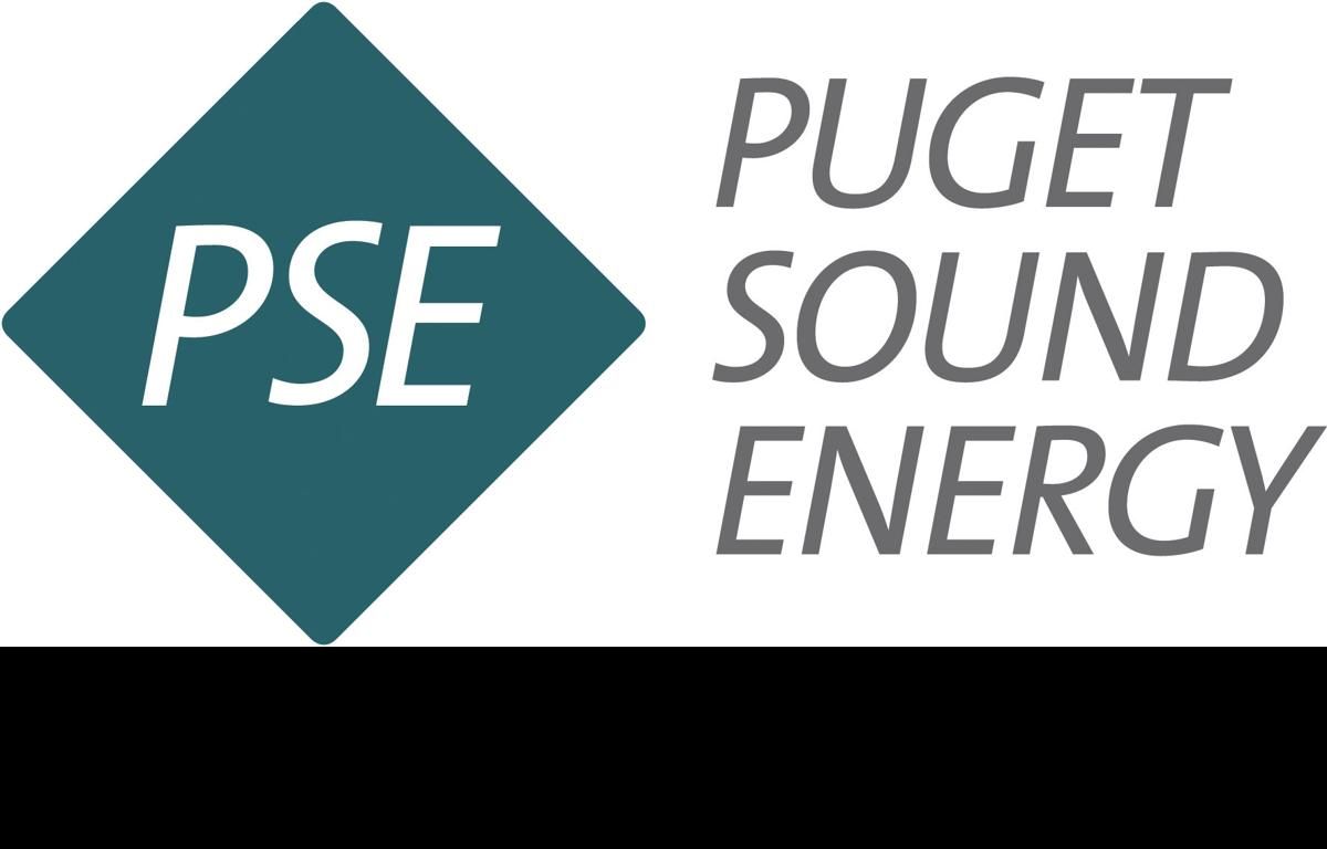 You are currently viewing Unknown widespread power outage to be investigated by PSE