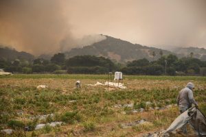 You are currently viewing Evidence from River Fire raises new questions about farming and farmworker safety