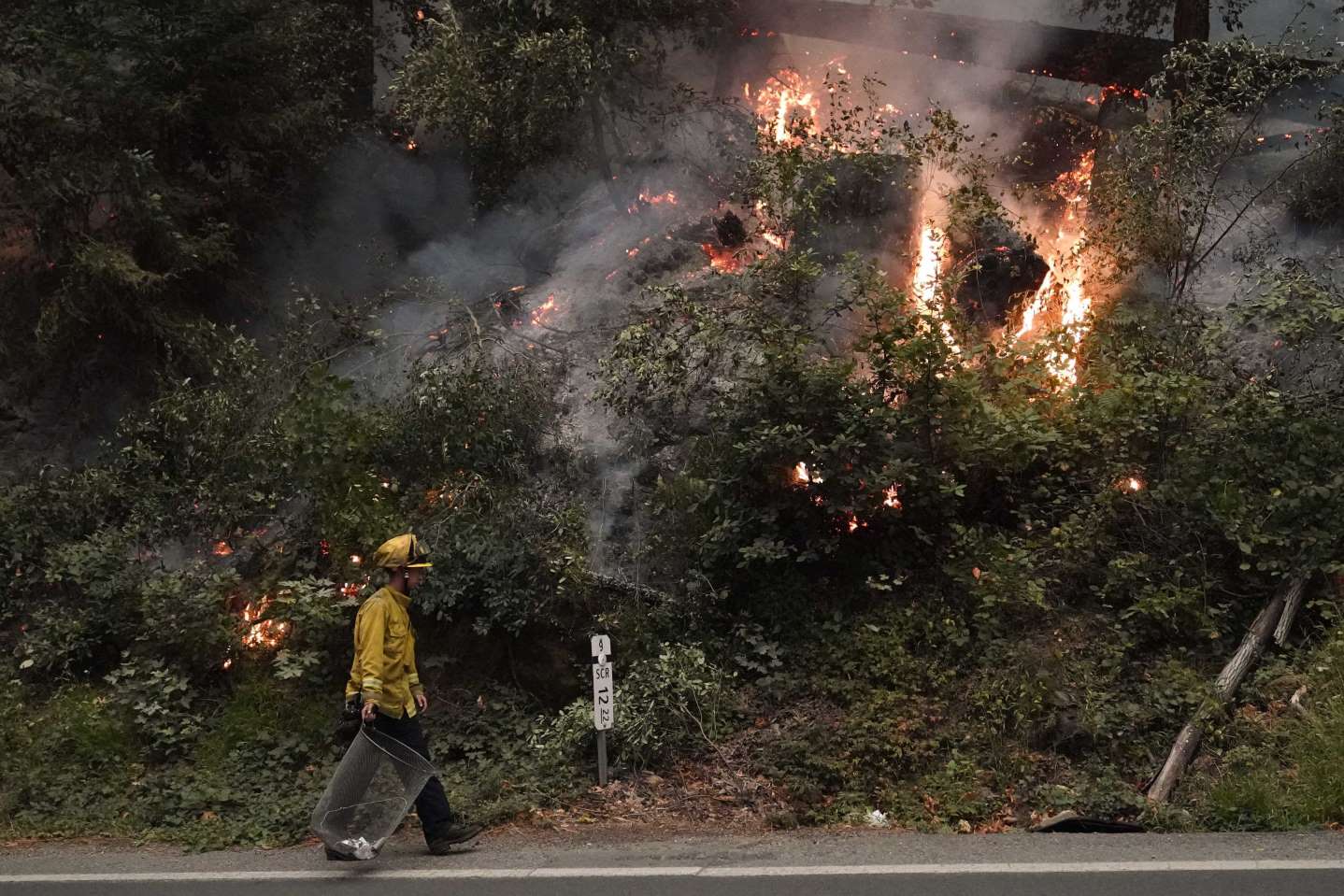 You are currently viewing PG&E rejects Cal Fire’s claim they are wrongly cutting down trees